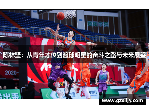 陈林坚：从青年才俊到篮球明星的奋斗之路与未来展望